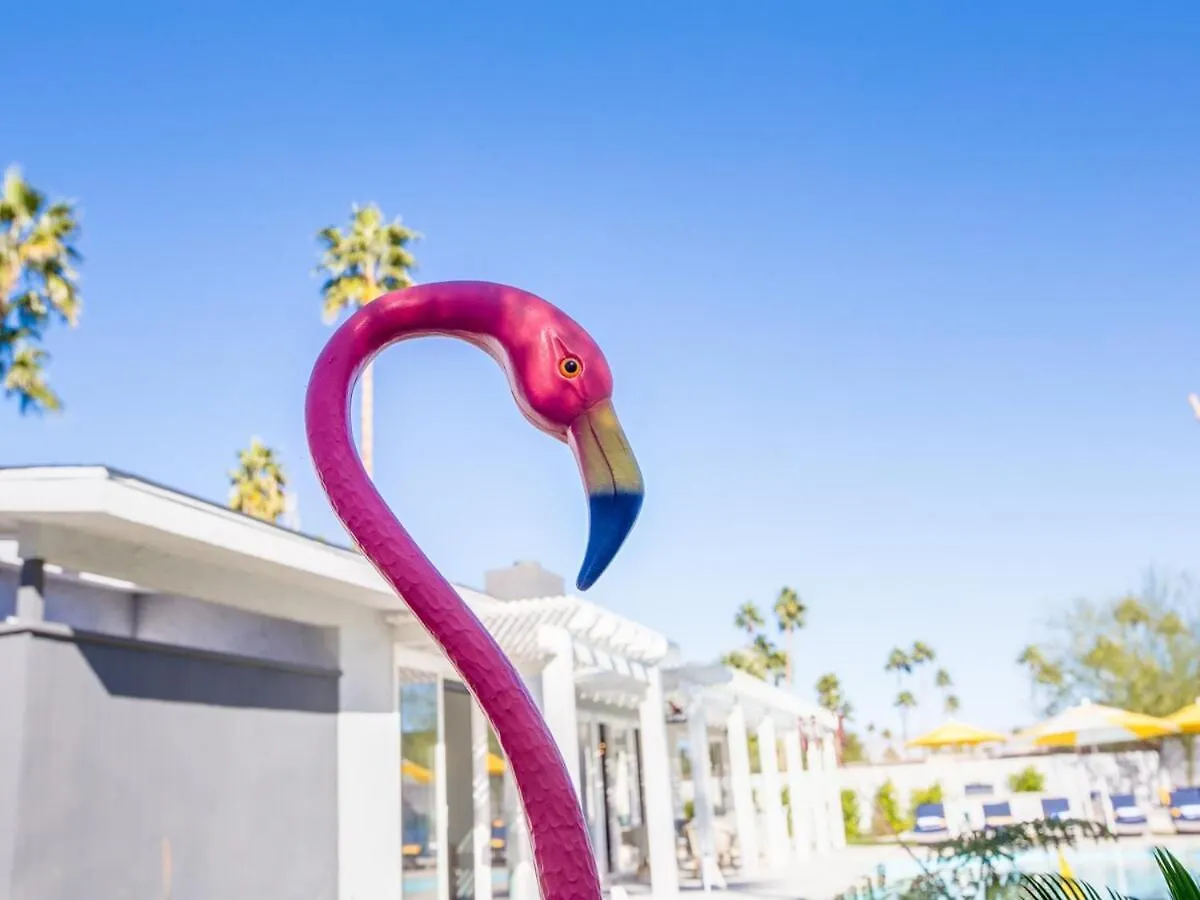 Villa Funtopia In The Canyons By Acme House Company Palm Springs United States